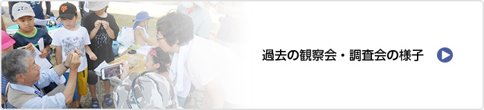 過去の観察会・調査会の様子