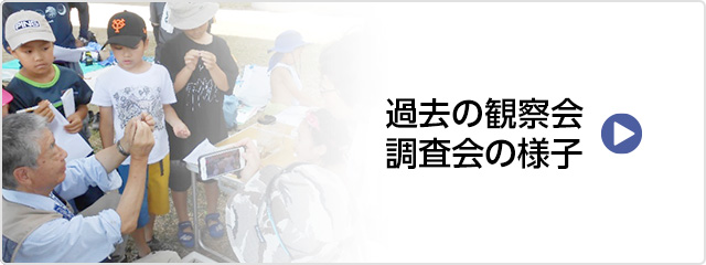過去の観察会・調査会の様子