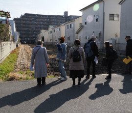 巣は田んぼの土を使っています